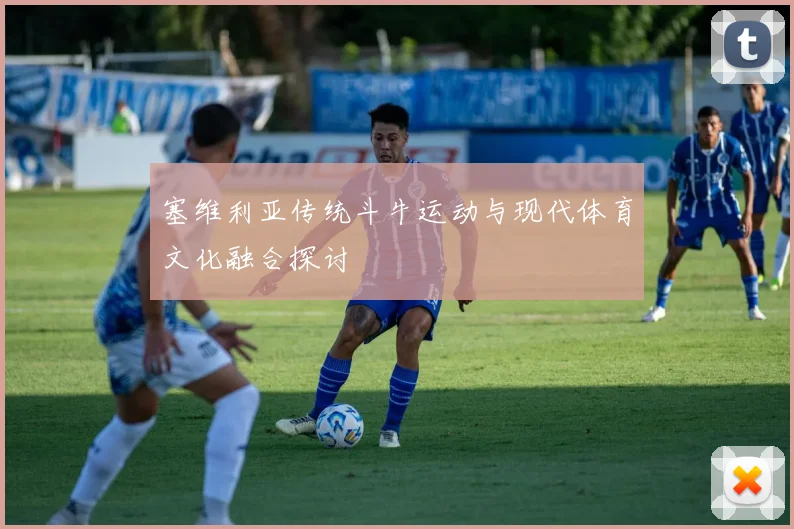 塞维利亚传统斗牛运动与现代体育文化融合探讨