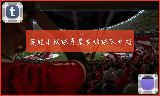 英超小妖球员最多的球队介绍